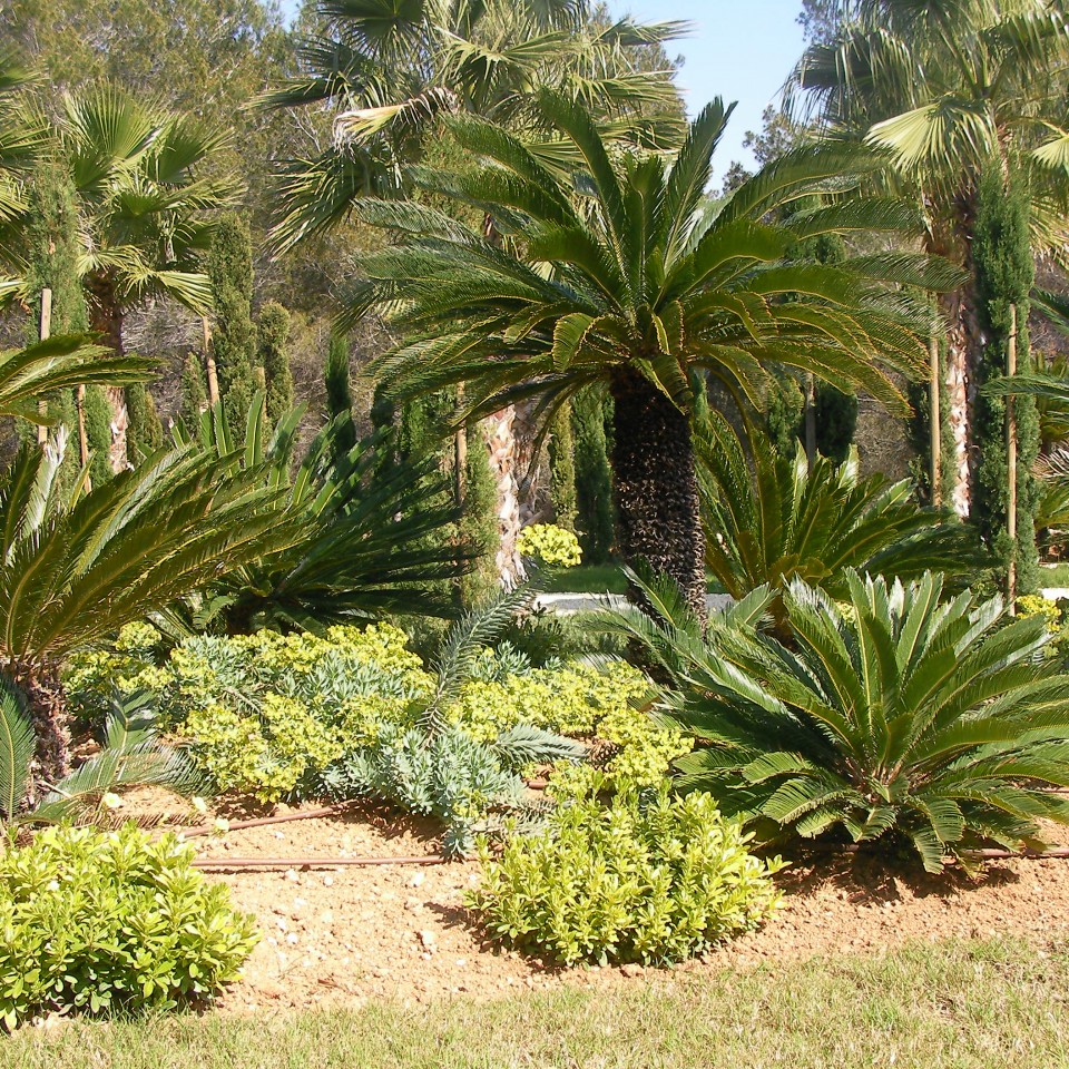 SANYO DIGITAL CAMERA